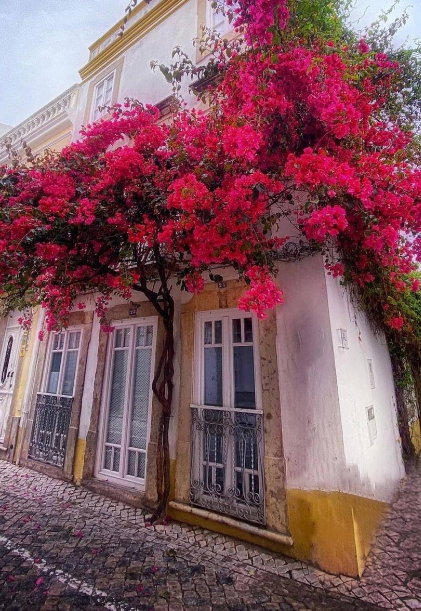 Stylish Studio Gilao In Taviras Historical Centre Villa Exterior photo